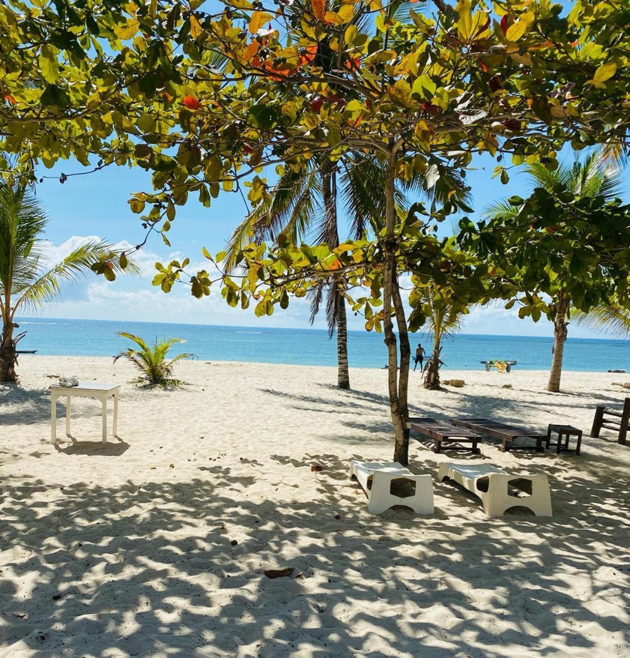 Beachfront Bliss Villa شاطئ دياني المظهر الخارجي الصورة